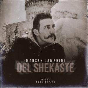   محسن جمشیدی