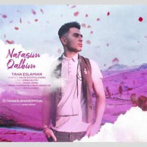   طاها اسلامیان