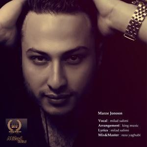   میلاد سلیمی