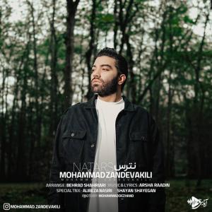   محمد زندوکیلی