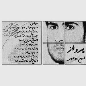   امین مولایی