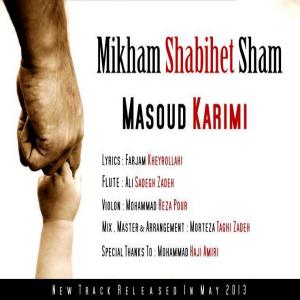   مسعود کریمی