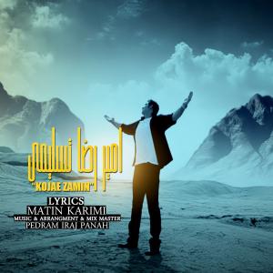   امیررضا تسلیمی