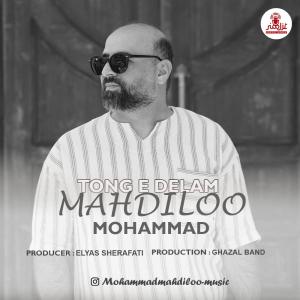   محمد مهدی لو