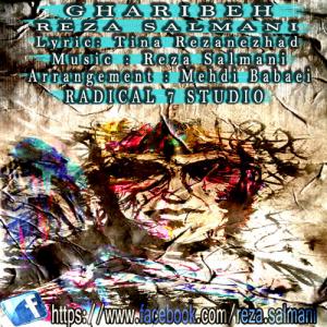   میثم بیاتی و رضا سلمانی