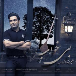   علیرضا نوزادی