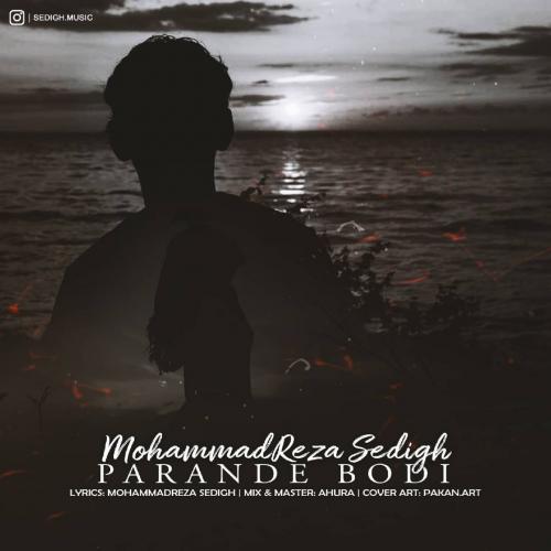   محمدرضا صدیق