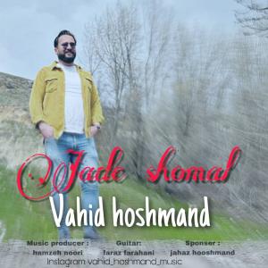   وحید هوشمند