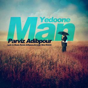   پرویز ادیب پور