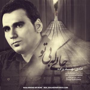   هادی مهدی زاده