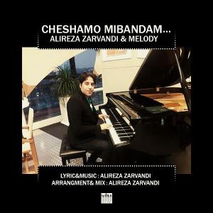   علیرضا زروندی