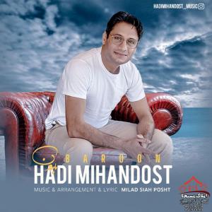 هادی میهن دوست