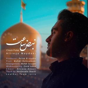   علیرضا میدانی