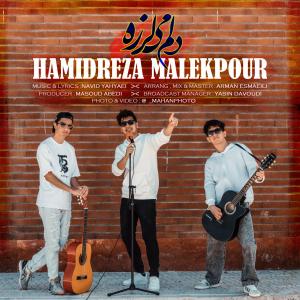   حمیدرضا ملک پور