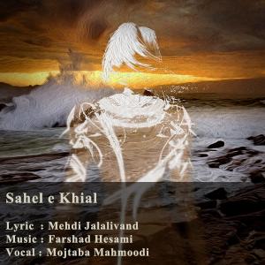   مجتبی محمودی