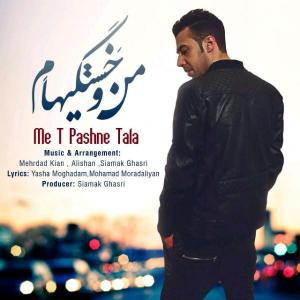   مهدی پاشنه طلا