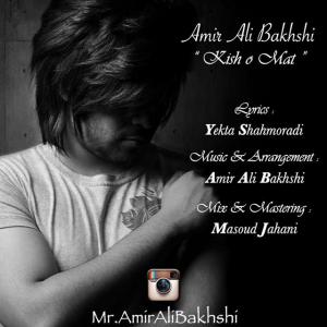   امیر علی بخشی