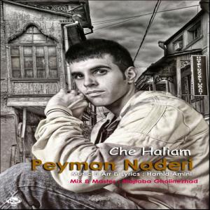   پیمان نادری