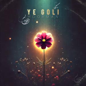   گروه هورمان