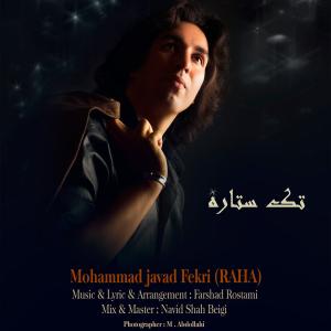   محمد جواد فکری