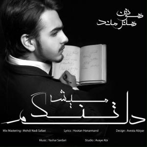   هوتن هنرمند