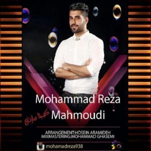   محمدرضا محمودی