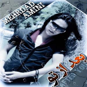   مهرداد امینی