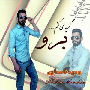   وحید نامدار