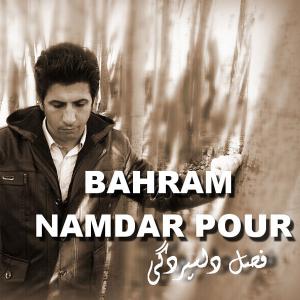   بهرام نامدارپور