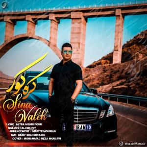   سینا واله و حامد حمیدی