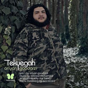   آرین گودرزی