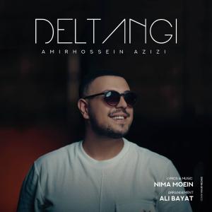   امیرحسین عزیزی