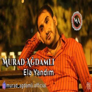   مراد آغداملی