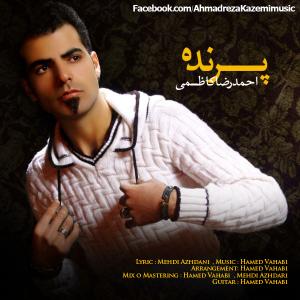   پدرام داداشی