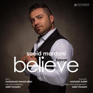   سعید مردانی