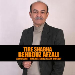   بهروز افضلی