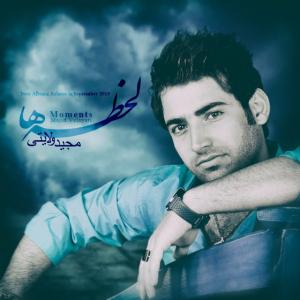   مجید ولایتی