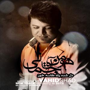   هومن آقا جمالی