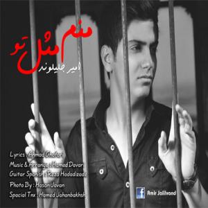   امیر جلیل وند