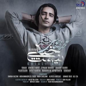   محمدرضا طوسی