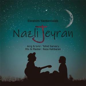   ابراهیم یزدان طلب