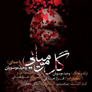   وحید موسویان