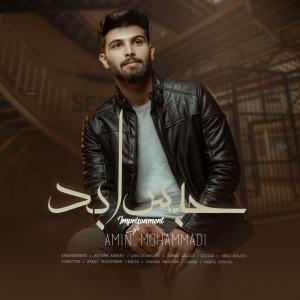   محمدرضا اشریه و امین محمدی