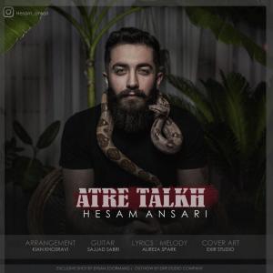   حسام انصاری