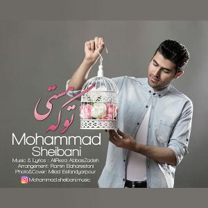   محمد شیبانی