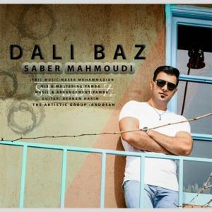   صابر محمودی