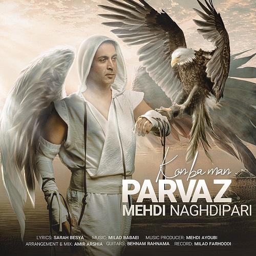   مهدی نقدی پری