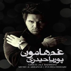   پوریا حیدری