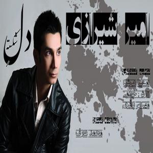   امیر شیرازی