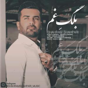   شهرام شهپری